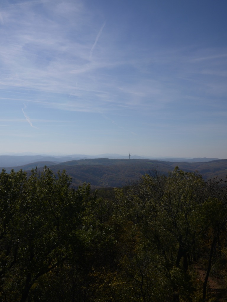 Habsburgwarte am Hermannskogel